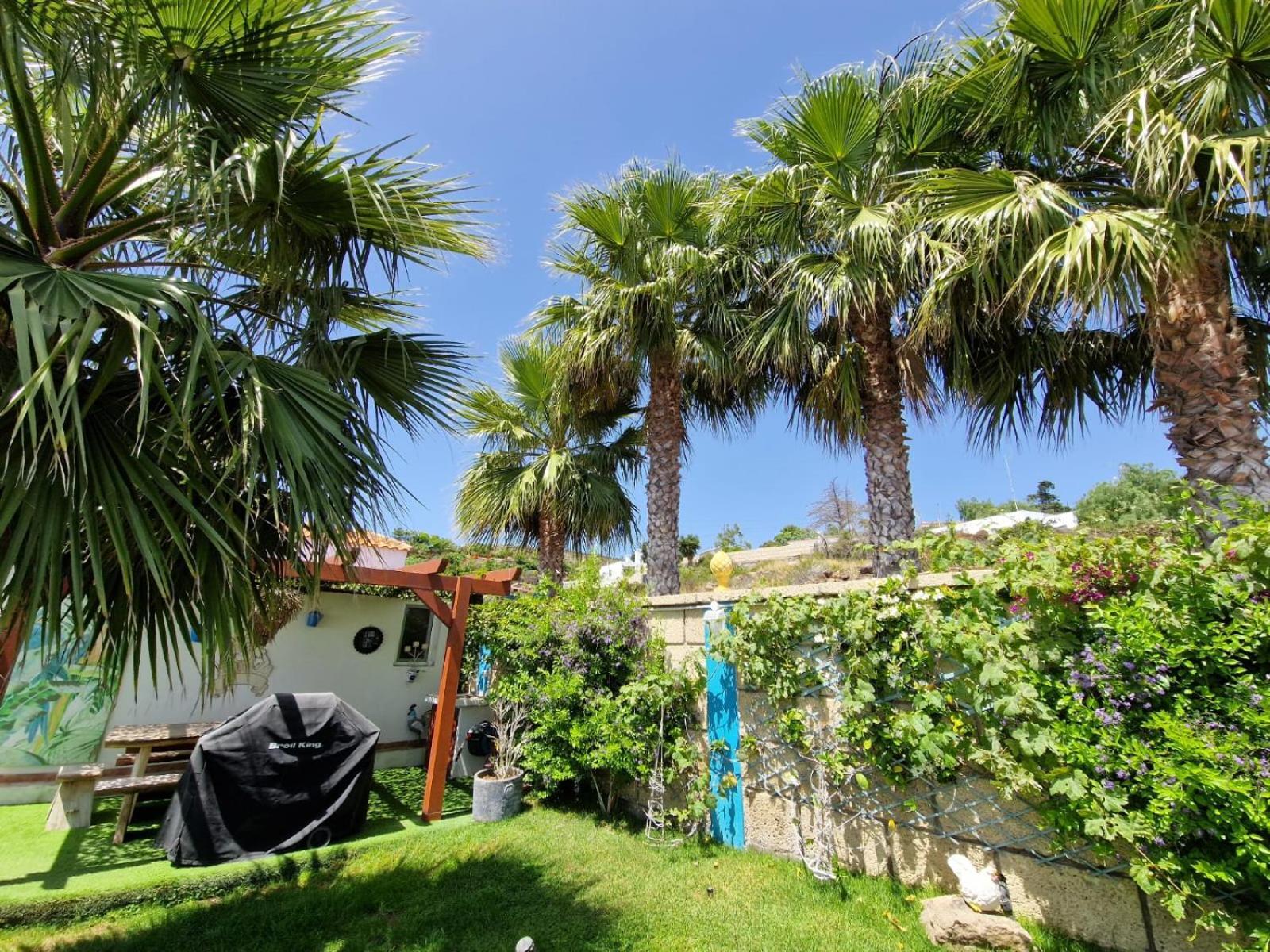 Finca Conejo: Canarian Retreat with Private Wellness Amenities Costa Adeje  Exterior photo